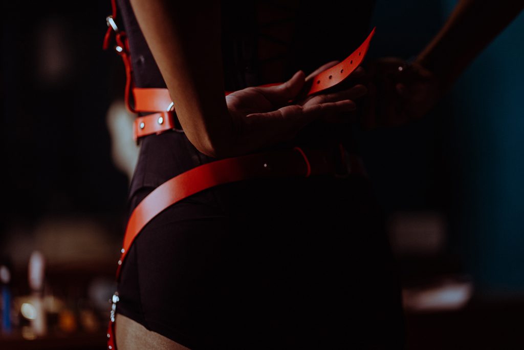 Select Your Own Adventure: The Increase of Interactive Grownup Video Clips